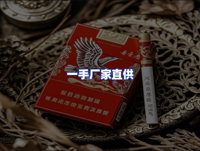 专业团队